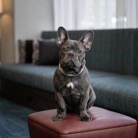 Hampton Inn Cleveland-Downtown Ngoại thất bức ảnh