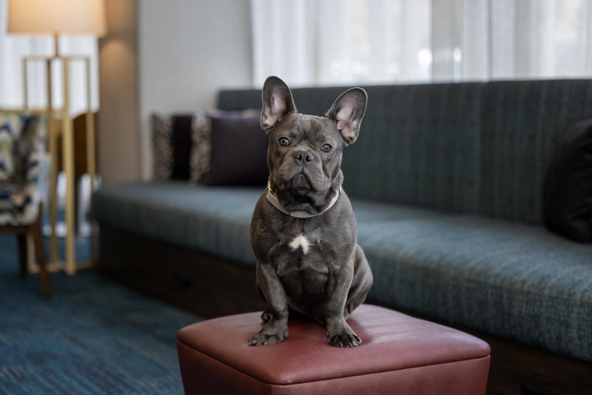 Hampton Inn Cleveland-Downtown Ngoại thất bức ảnh